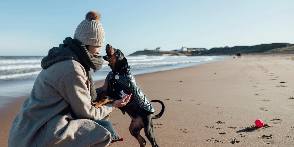 Isle of Wight in December