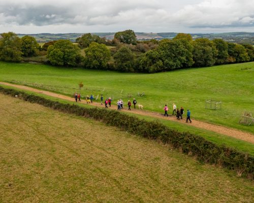 Countryside Walks