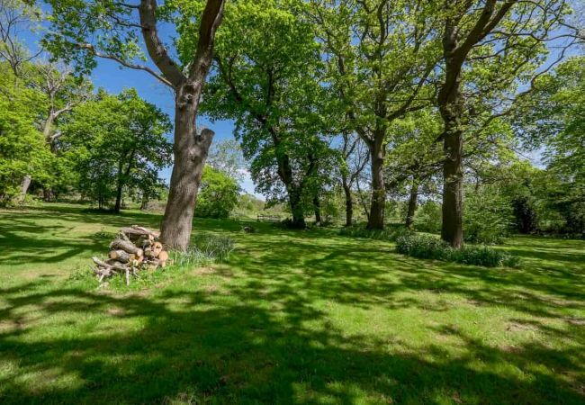 Mobile home in Ryde - Poppy Lodge perfect for Bird Watching & Stargazing Mobile home in Ryde - Poppy Lodge perfect for Bird Watching & Stargazing