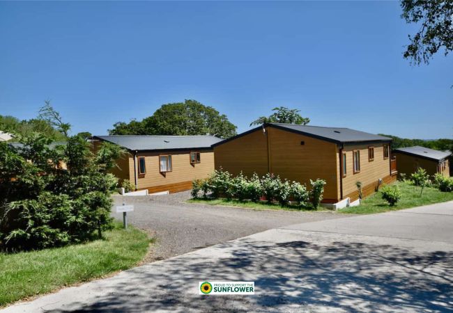 Self Catering Holiday Lodge Roebeck Country Park