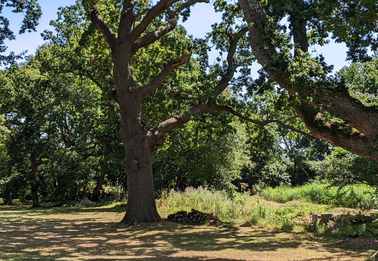 Holiday Lodge Isle of Wight with Woodland Walks