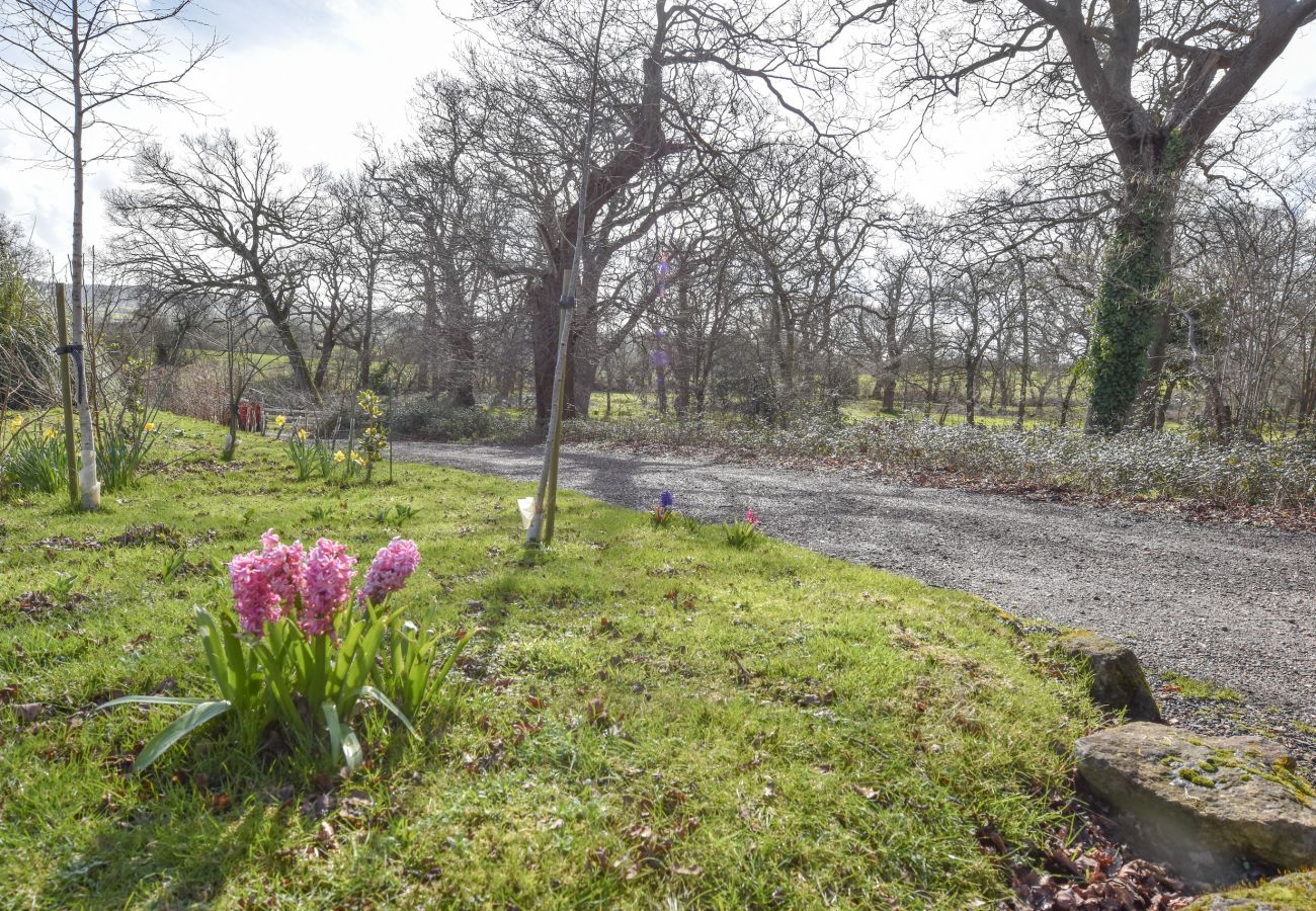 Roebeck Country Park, Isle of Wight