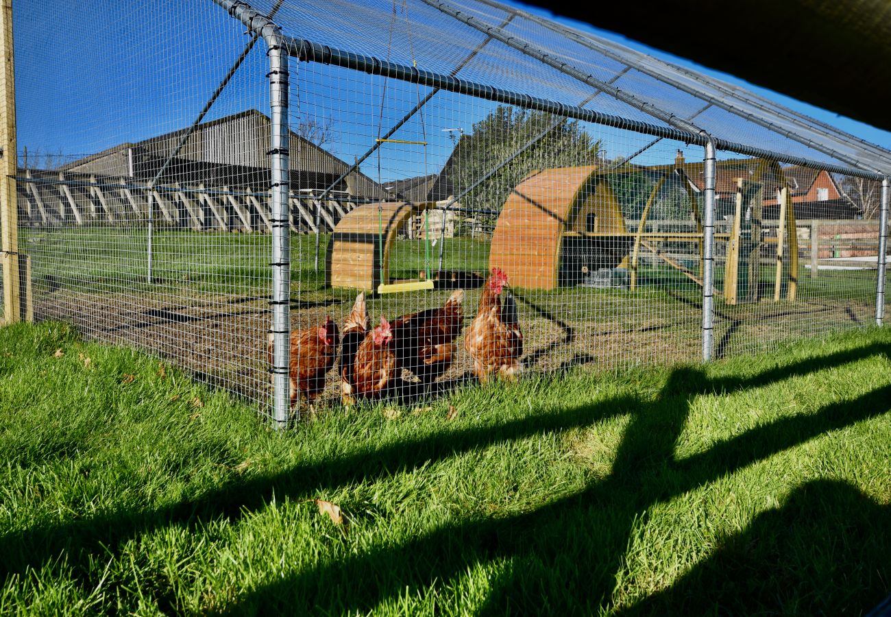 Self Catering Farmstay at Isle of Wight