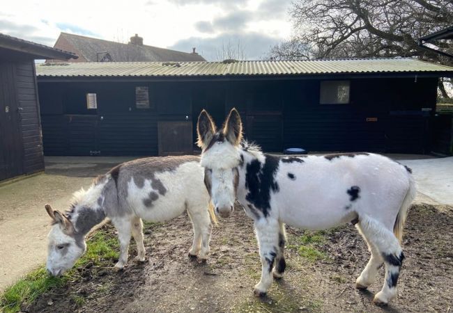 2 bed Barn Conversion: Tranquil Farmstay at Isle of Wight