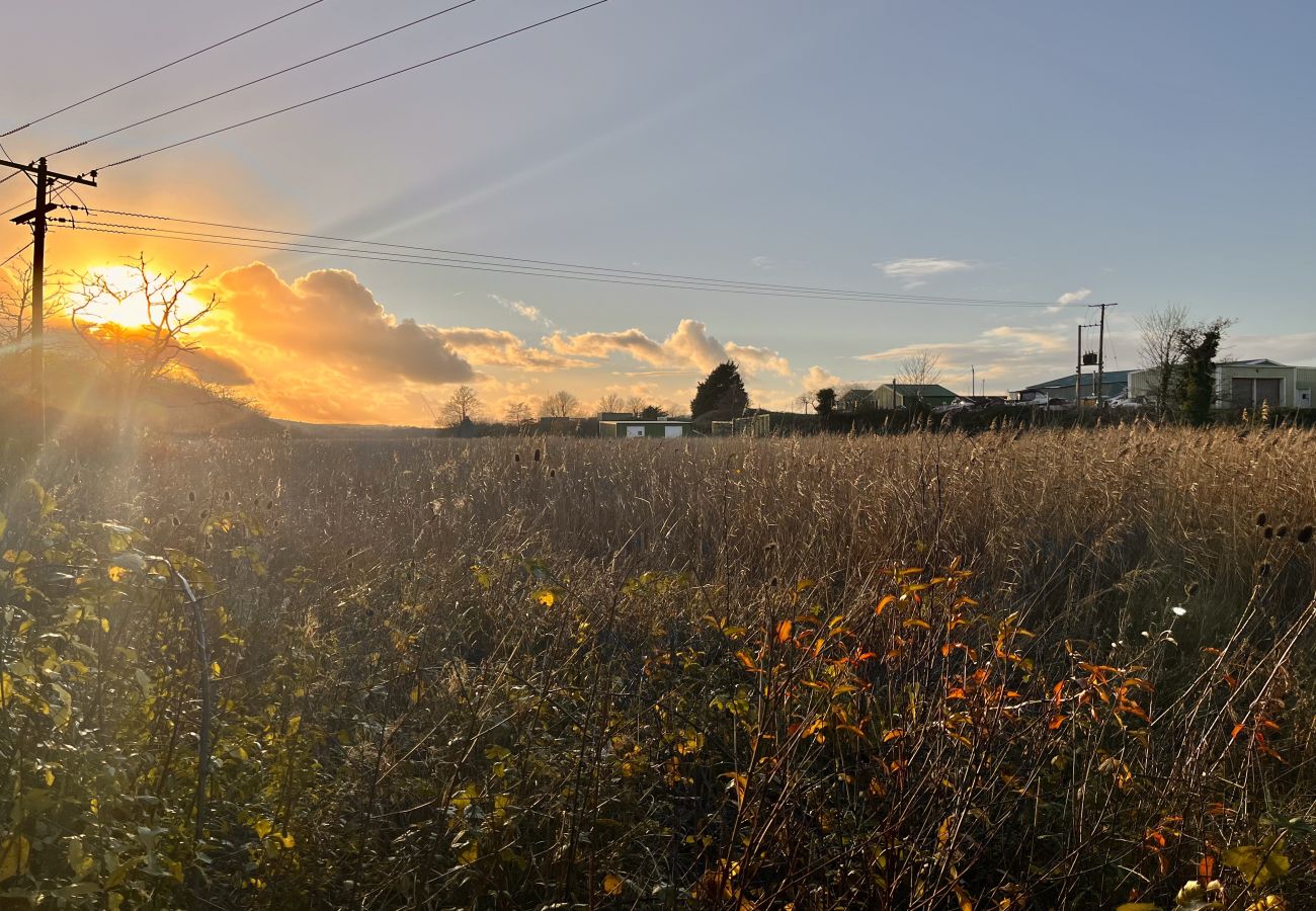 Bembridge footpath, Isle of Wight