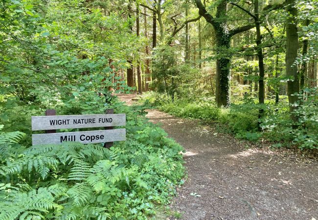 Mill Copse, Isle of Wight