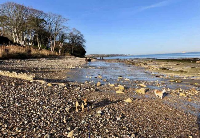 Bembridge Beach, Isle of Wight