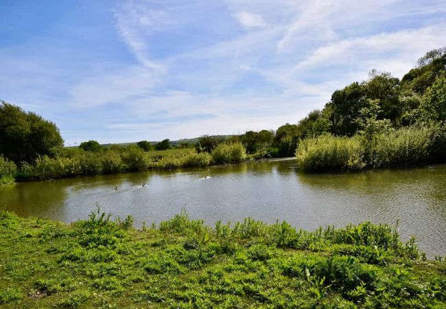Roebeck Country Park, Isle of Wight