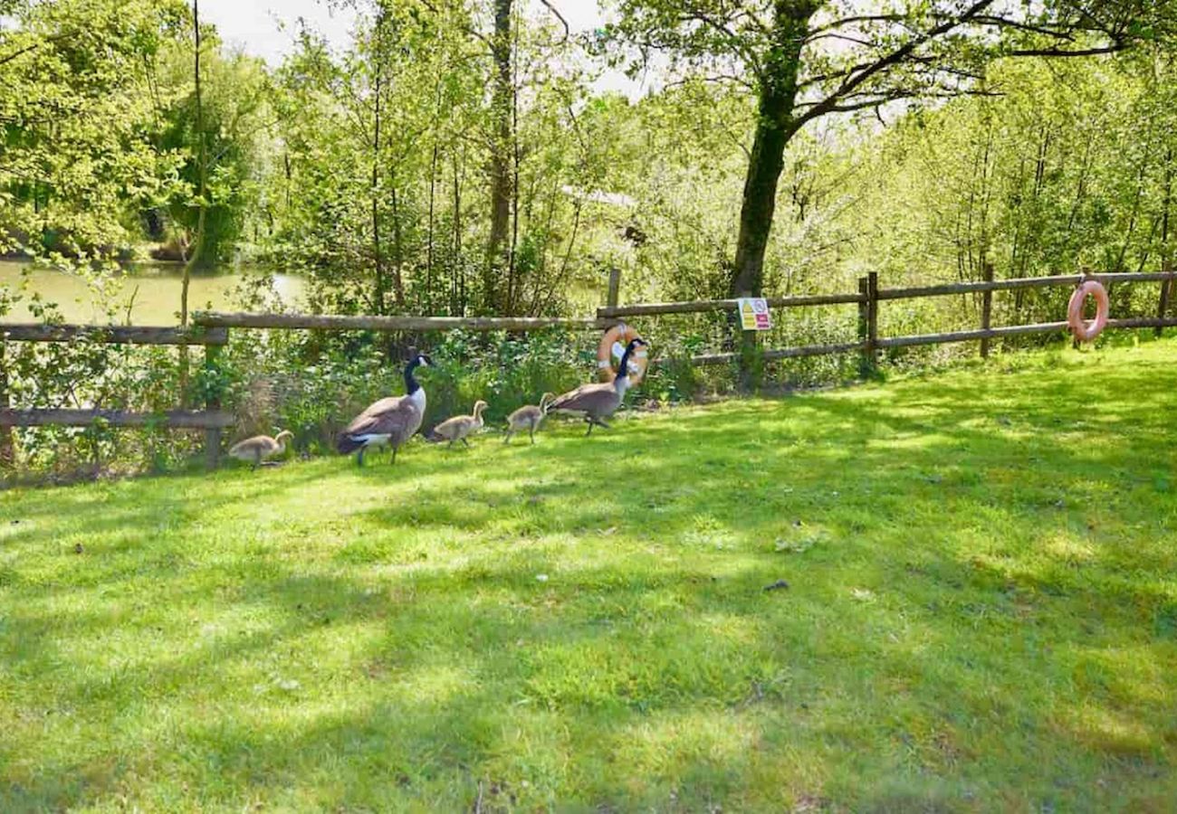 Roebeck Country Park, Isle of Wight